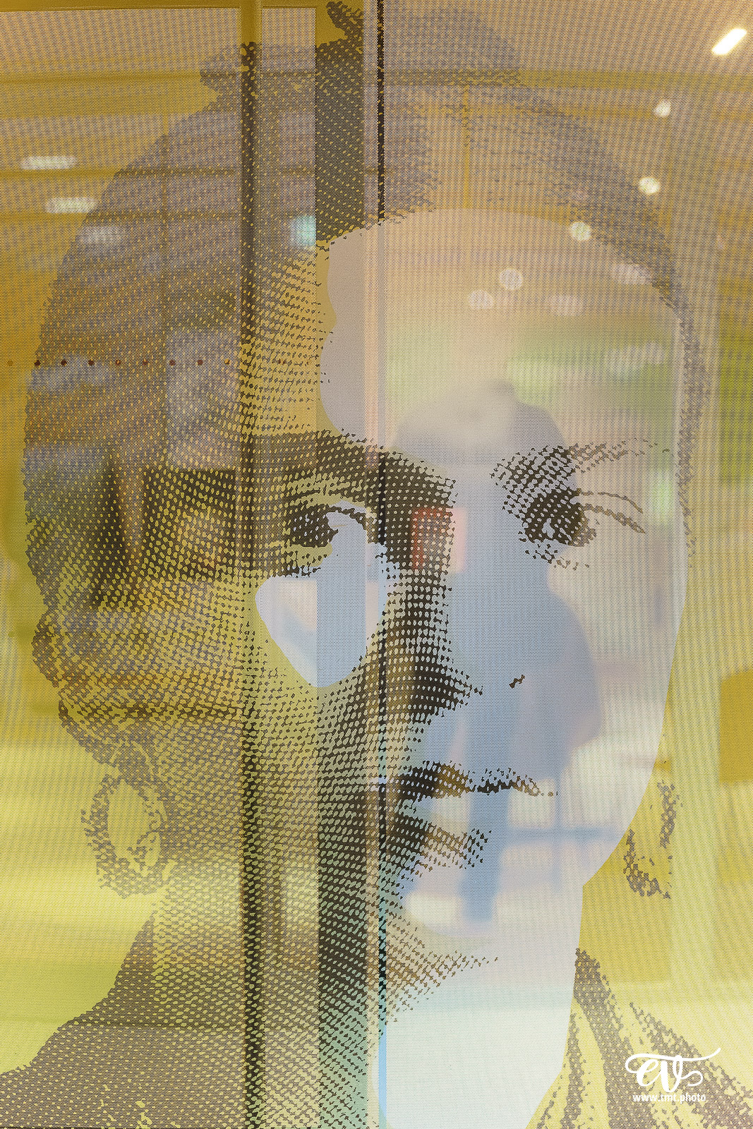 TWAPERO #34 : MEDIATHEQUE FRIDA KAHLO